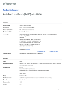 Anti-Bub1 antibody [14H5] ab181438 Product datasheet Overview Product name