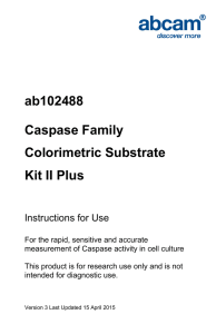 ab102488 Caspase Family Colorimetric Substrate Kit II Plus