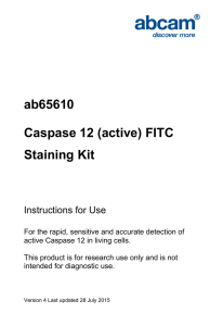ab65610 Caspase 12 (active) FITC Staining Kit Instructions for Use