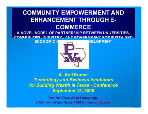 COMMUNITY EMPOWERMENT AND ENHANCEMENT THROUGH E- COMMERCE