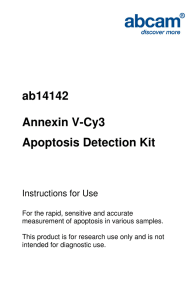 ab14142 Annexin V-Cy3 Apoptosis Detection Kit