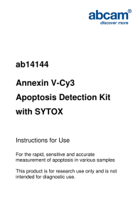 ab14144 Annexin V-Cy3 Apoptosis Detection Kit with SYTOX