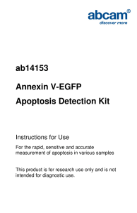 ab14153 Annexin V-EGFP Apoptosis Detection Kit