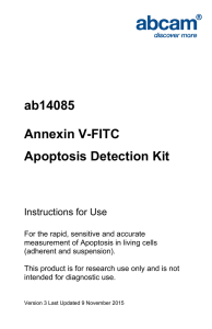 ab14085 Annexin V-FITC Apoptosis Detection Kit Instructions for Use