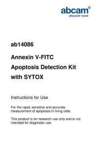 ab14086 Annexin V-FITC Apoptosis Detection Kit with SYTOX