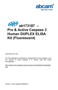 ab173187  – Pro &amp; Active Caspase 3 Human DUPLEX ELISA Kit (Fluorescent)