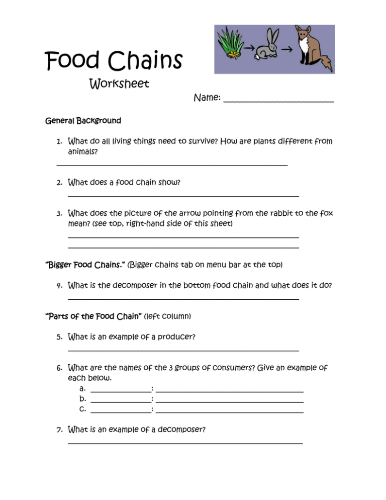 Food Chains Worksheet Name: