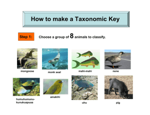 8 How to make a Taxonomic Key Step 1: Choose a group of