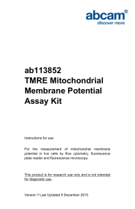 ab113852 TMRE Mitochondrial Membrane Potential Assay Kit