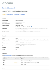 Anti-TTC11 antibody ab96764 Product datasheet 1 Abreviews 3 Images