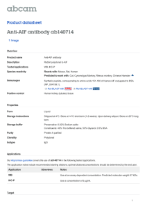 Anti-AIF antibody ab140714 Product datasheet 1 Image