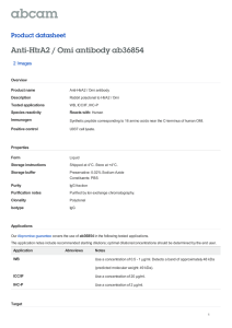 Anti-HtrA2 / Omi antibody ab36854 Product datasheet 2 Images Overview