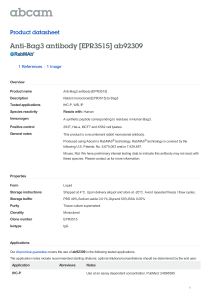 Anti-Bag3 antibody [EPR3515] ab92309 Product datasheet 1 References 1 Image