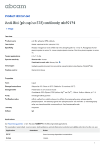 Anti-Bid (phospho S78) antibody ab59174 Product datasheet 1 Image Overview