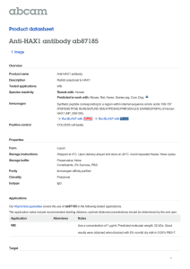 Anti-HAX1 antibody ab87185 Product datasheet 1 Image