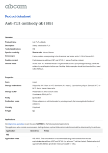 Anti-FLI1 antibody ab11851 Product datasheet Overview Product name