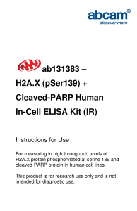 ab131383 – H2A.X (pSer139) + Cleaved-PARP Human In-Cell ELISA Kit (IR)