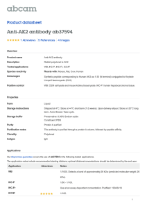 Anti-AK2 antibody ab37594 Product datasheet 1 Abreviews 4 Images