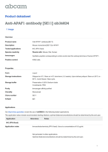 Anti-APAF1 antibody [5E11] ab36824 Product datasheet 1 Image Overview