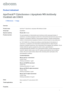 ApoTrack™ Cytochrome c Apoptosis WB Antibody Cocktail ab110415