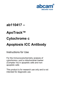 ab110417 – ApoTrack™ Cytochrome c Apoptosis ICC Antibody