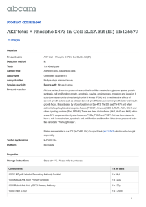 AKT total + Phospho S473 In-Cell ELISA Kit (IR) ab126579