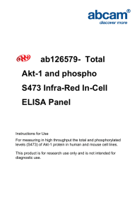 ab126579-  Total Akt-1 and phospho S473 Infra-Red In-Cell ELISA Panel