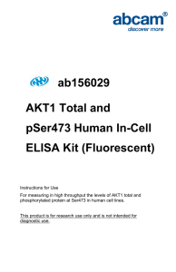 ab156029 AKT1 Total and pSer473 Human In-Cell ELISA Kit (Fluorescent)