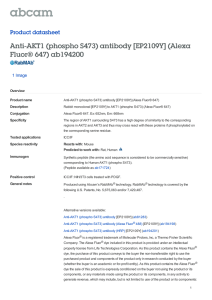 Anti-AKT1 (phospho S473) antibody [EP2109Y] (Alexa Fluor® 647) ab194200