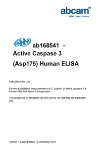 ab168541  – Active Caspase 3 (Asp175) Human ELISA Kit