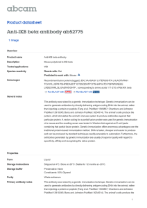 Anti-IKB beta antibody ab52775 Product datasheet 1 Image