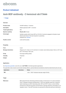 Anti-IKIP antibody - C-terminal ab173666 Product datasheet 1 Image Overview