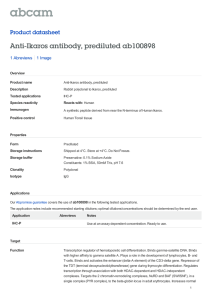 Anti-Ikaros antibody, prediluted ab100898 Product datasheet 1 Abreviews 1 Image