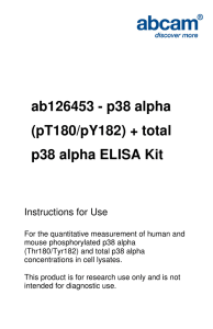 ab126453 - p38 alpha (pT180/pY182) + total p38 alpha ELISA Kit