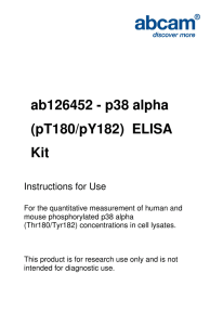 ab126452 - p38 alpha (pT180/pY182)  ELISA Kit