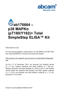 ab176664 – p38 MAPKα (pT180/Y182)+ Total SimpleStep ELISA™ Kit