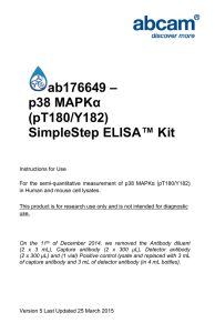 ab176649 – p38 MAPKα (pT180/Y182) SimpleStep ELISA™ Kit