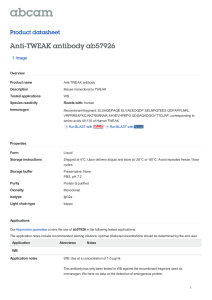 Anti-TWEAK antibody ab57926 Product datasheet 1 Image Overview