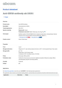 Anti-USP28 antibody ab130351 Product datasheet 1 Image