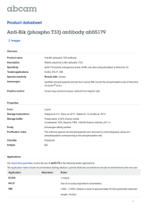 Anti-Bik (phospho T33) antibody ab55179 Product datasheet 2 Images Overview