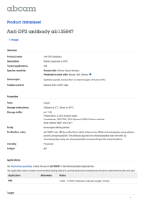 Anti-DP2 antibody ab135847 Product datasheet 1 Image
