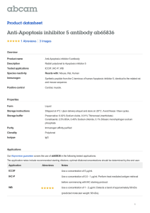 Anti-Apoptosis inhibitor 5 antibody ab65836 Product datasheet 1 Abreviews 3 Images