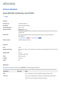 Anti-EDA2R antibody ab167224 Product datasheet 1 Image