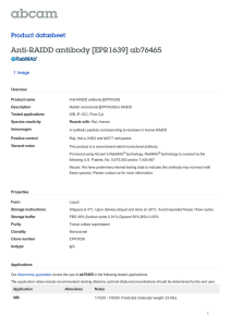 Anti-RAIDD antibody [EPR1639] ab76465 Product datasheet 1 Image Overview