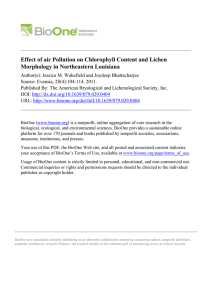 Effect of air Pollution on Chlorophyll Content and Lichen