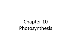 Chapter 10 Photosynthesis