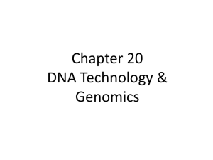 Chapter 20 DNA Technology &amp; Genomics