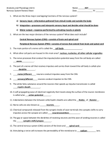 Anatomy and Physiology Unit 6  KEY Nervous System Review Sheet