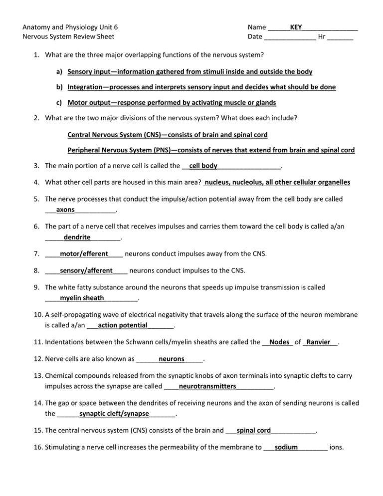 Chapter 35 Nervous System Answers Classicstips