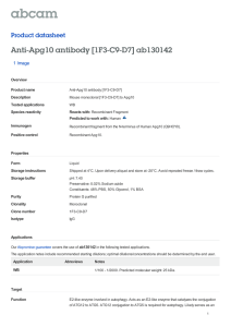 Anti-Apg10 antibody [1F3-C9-D7] ab130142 Product datasheet 1 Image